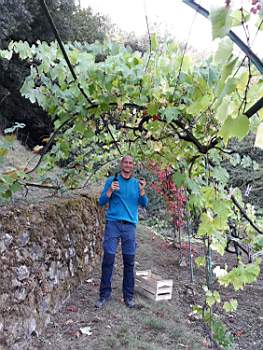 05-2019-09-21 at 20.05.06.JPG